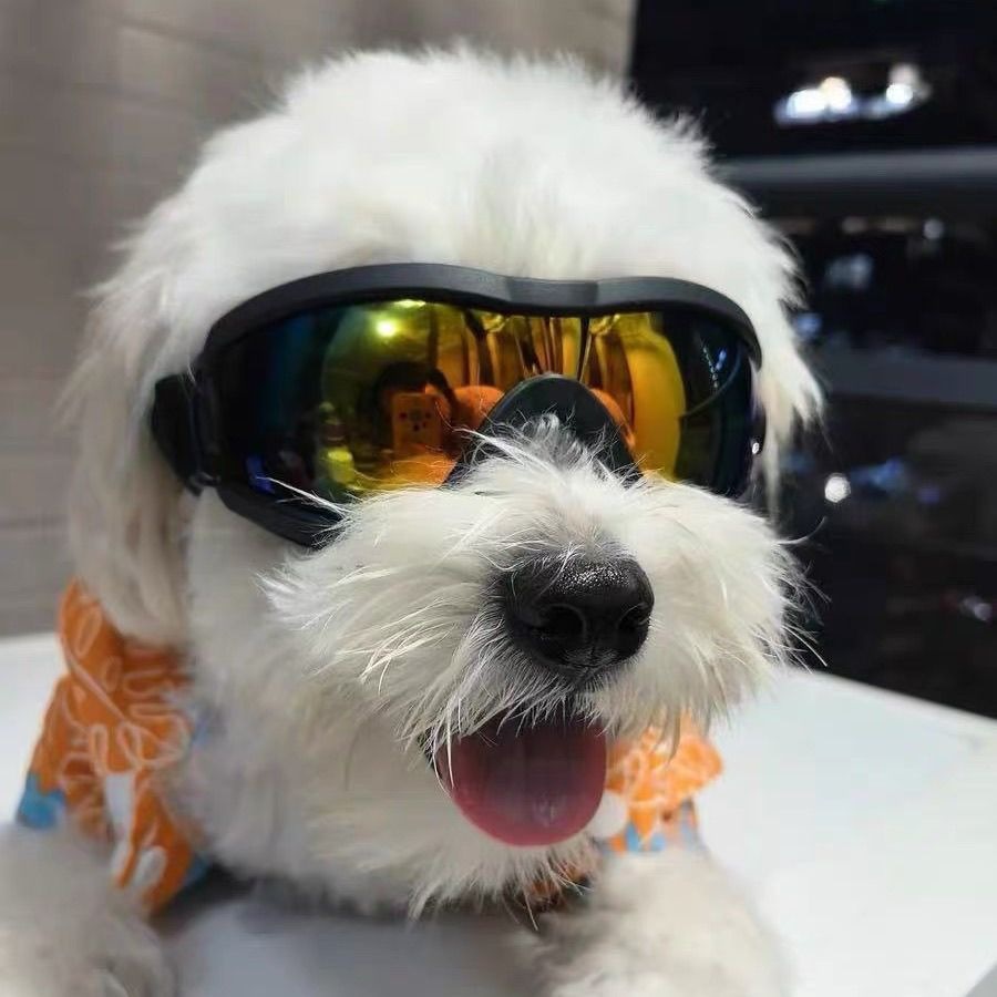 Lunettes de soleil réglables e - Snow Goggle Uv avis et prix