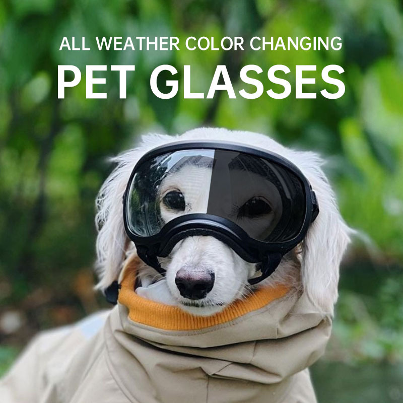 Lunettes pour animaux de compa - Snow Goggle Uv avis et prix