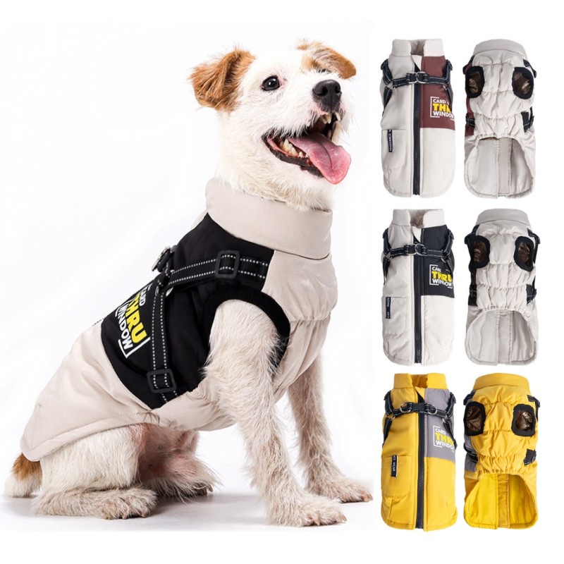 Veste d'hiver pour chien, mant - Jack Winter Clothing avis et prix